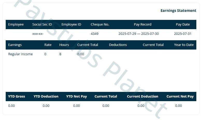 Short Blue Paystub