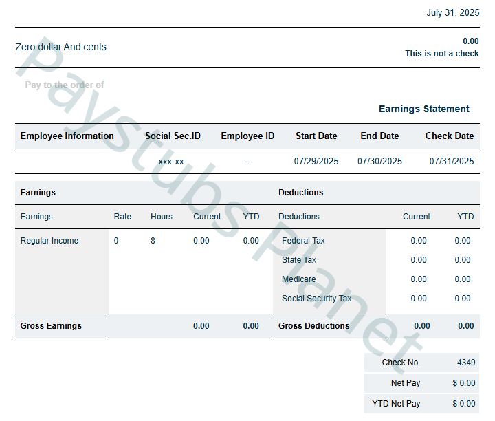 Short B&W Paystub